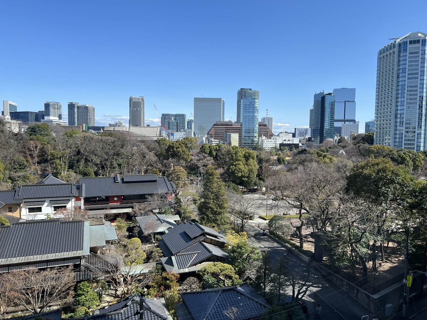 偶然ではなく必然の再会へ — 東京で新しい学びに向かう気持ち