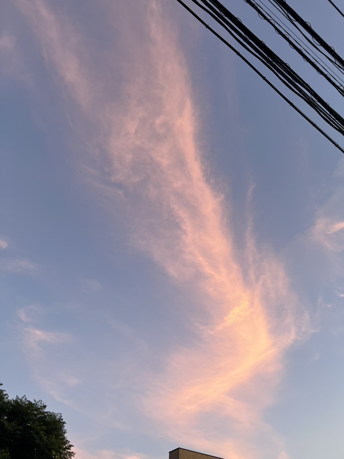 COU by Shun の世界観